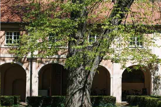 Blick in den Innenhof des UC Freiburg