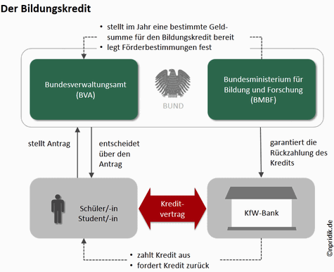 Nicola Pridik Infografik zum Bildungskredit: Wie BMBF, KfW und Bundesverwaltungsamt zusammenspielen