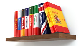 Regelbrett mit Büchern verschiedener Sprachen (Buchrücken jeweils mit Landesflagge)