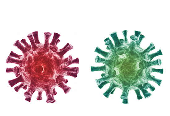Coronavirus COVID-19