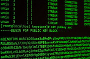 Ausschnitt Computerbildschirm (grüne Schrift, schwarzer Hintergrund), auf dem ein Public Key angezeigt wird