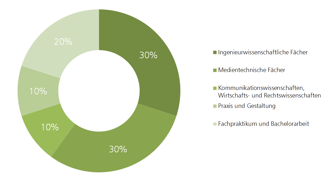 Grafik Fachaufteilung Medientechnologie