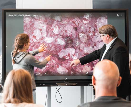 Dozent und Studierende erörtern Bildschirmdarstellung