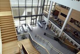BAföG § 50 Bescheid 2010 - Studis Online