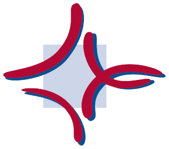 Logo der Katholische Hochschule Mainz