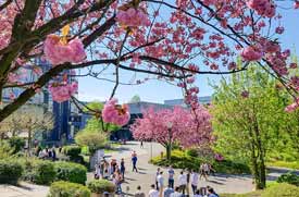 Campus der Uni Paderborn im Frühling