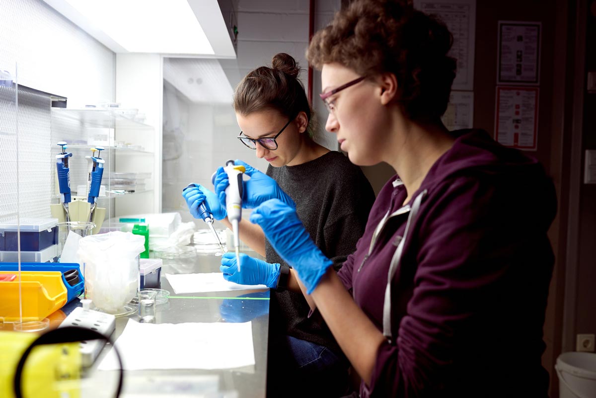 Zwei Studierende im Labor