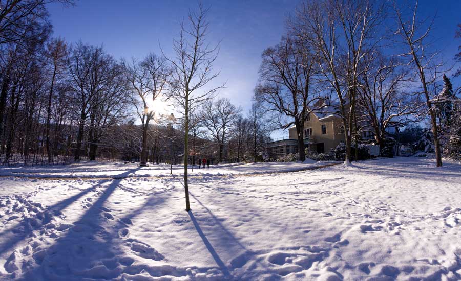 International Business Studies An Der Hochschule Harz Studis Online International Business Studies An Der Hochschule Harz Studis Online