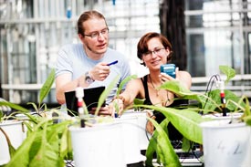 Pflanzenforschungsmanagement an der FH Erfurt studieren