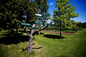 Gartenbau an der FH Erfurt studieren