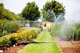 Landschaftsarchitektur an der FH Erfurt studieren