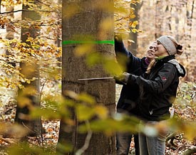 Studentinnen im Wald