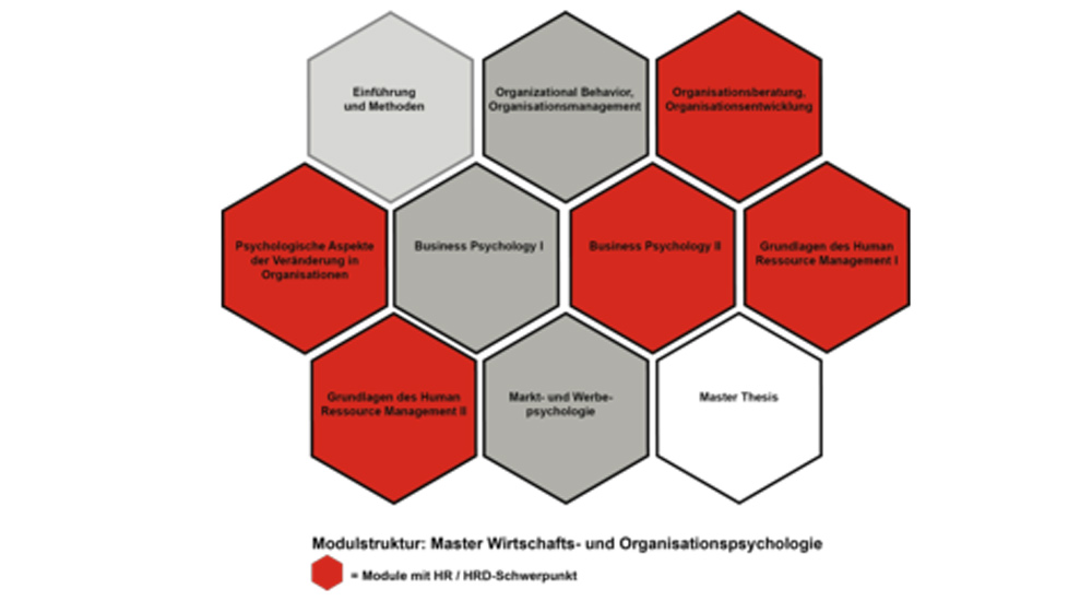 Schwerpunkte MA Wirtschafts- und Organisationspsychologie