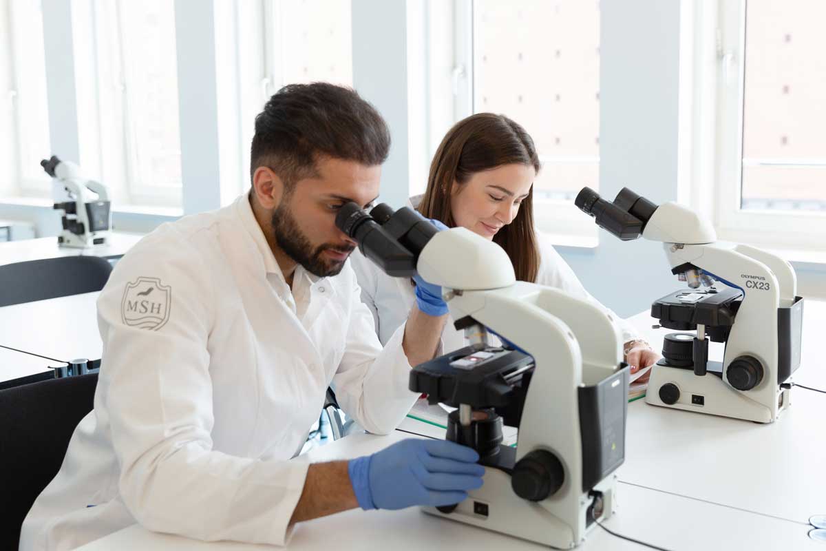 Studierende bei der Arbeit im Labor