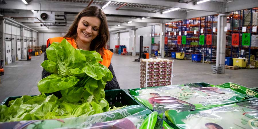 Frau in Lagerhalle packt Salat
