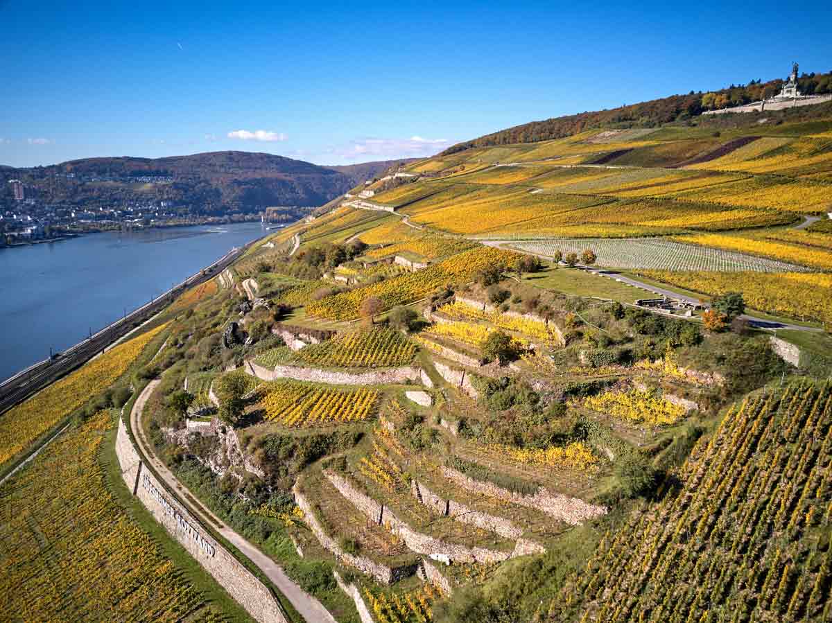 Weinberge