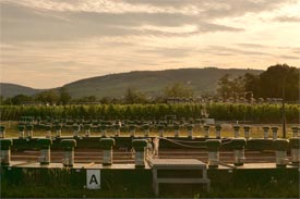 Sonnenuntergang über Versuchsfeld der Hochschule Geisenheim