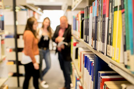 In der Bibliothek der HSVN