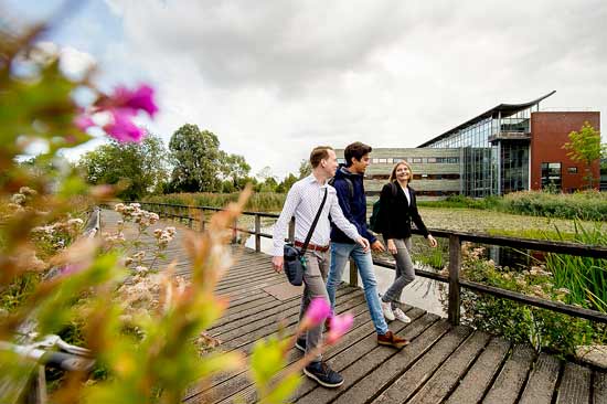 Studierende laufen über Campus