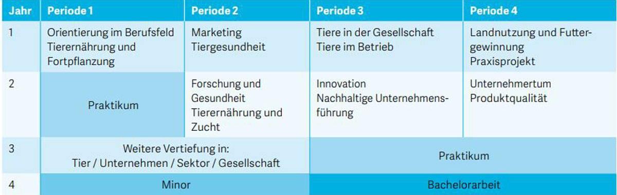 Verlaufsplan des Studiengangs