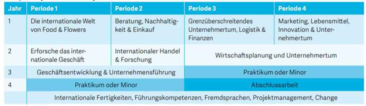 Modulplan International Business FF