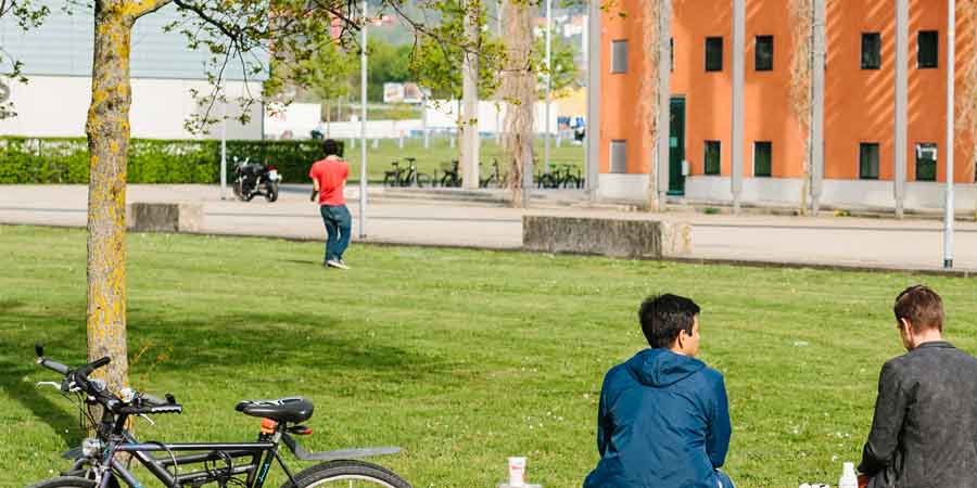 Studis sitzen auf dem Campus