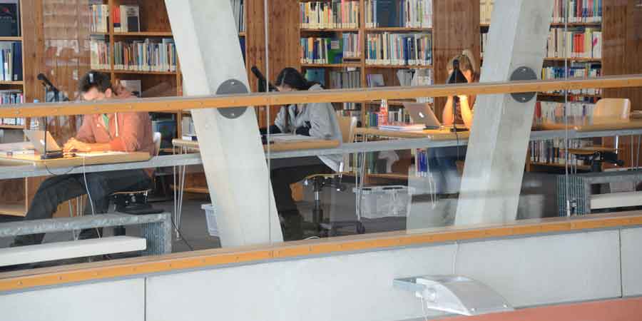 Bibliothek der accadis