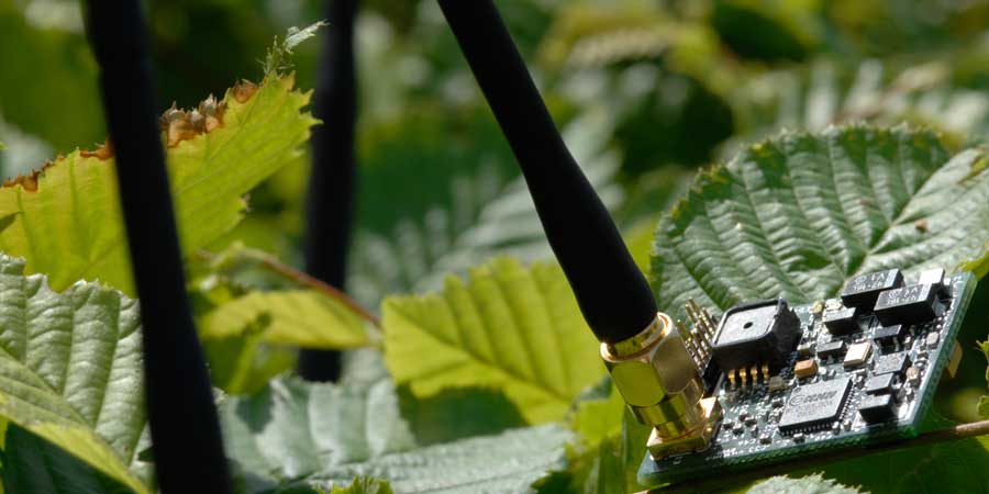 Mikrosystemtechnik am Blatt eines Baumes