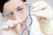 Forscherin manipuliert ein Modell einer DNA-Kette