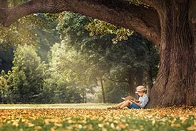 Ein Junge liest unter einer Linde sitzend ein Buch