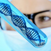 Wissenschaftler hält Reagenzglas mit DNA (Symbolbild)