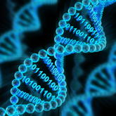DNA-Helix mit binärem Code