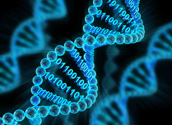 DNA-Helix mit binärem Code
